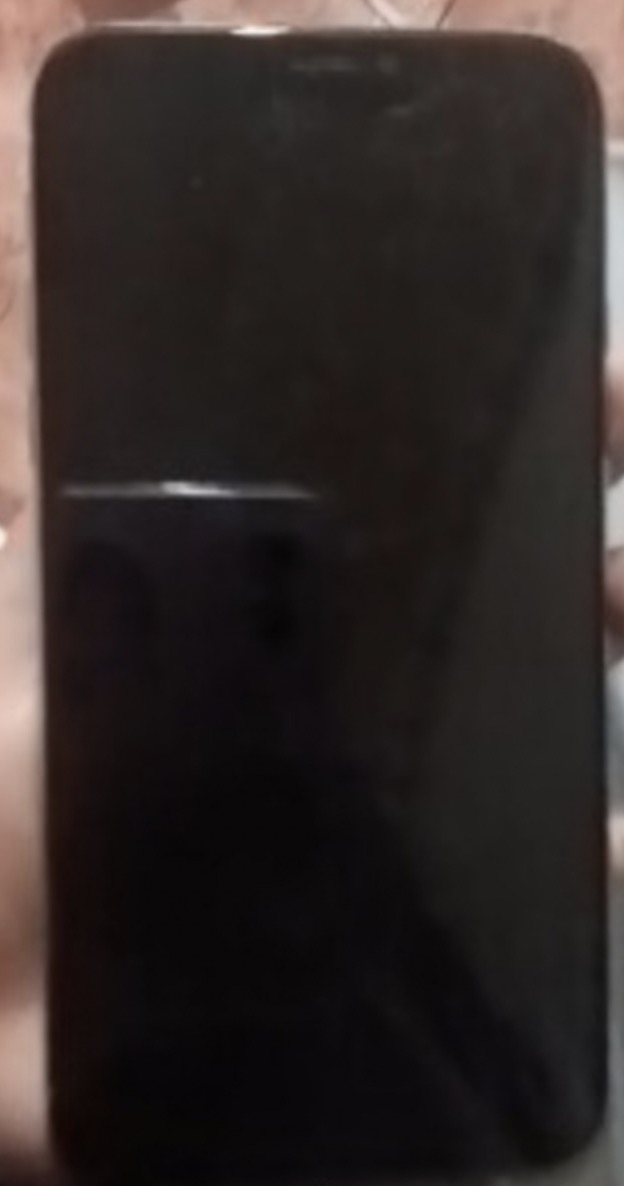 iPhone X 256G